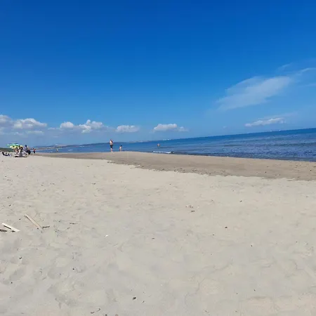 Mirto E Rosmarino Sennori