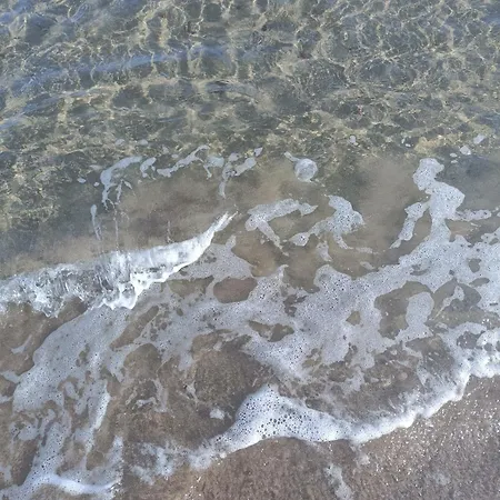 Mirto E Rosmarino Sennori